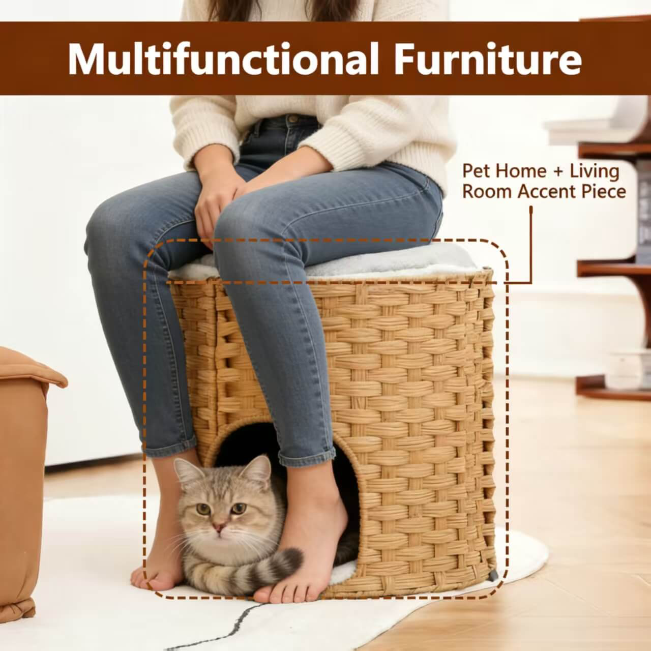 Premium Handwoven Rattan Cat House: Large Double Bed for Indoor Cats
