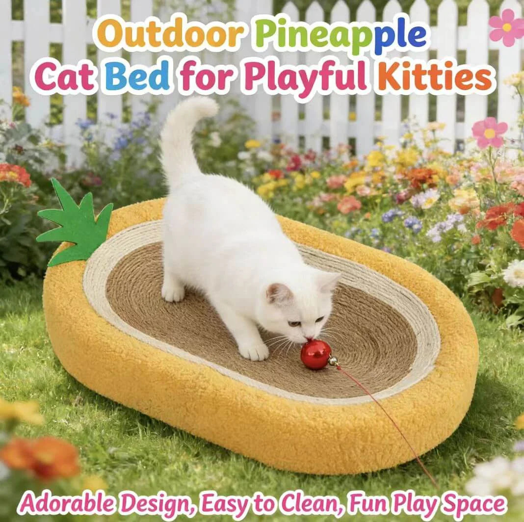 Durable Pet Scratcher for Cats - Pineapple Design, Sisal Core, Yellow Plush Edge Mat