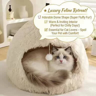 Interactive Comfort Cat Nest: Multi-Color Furry, Built-in Ball Toy for Cats