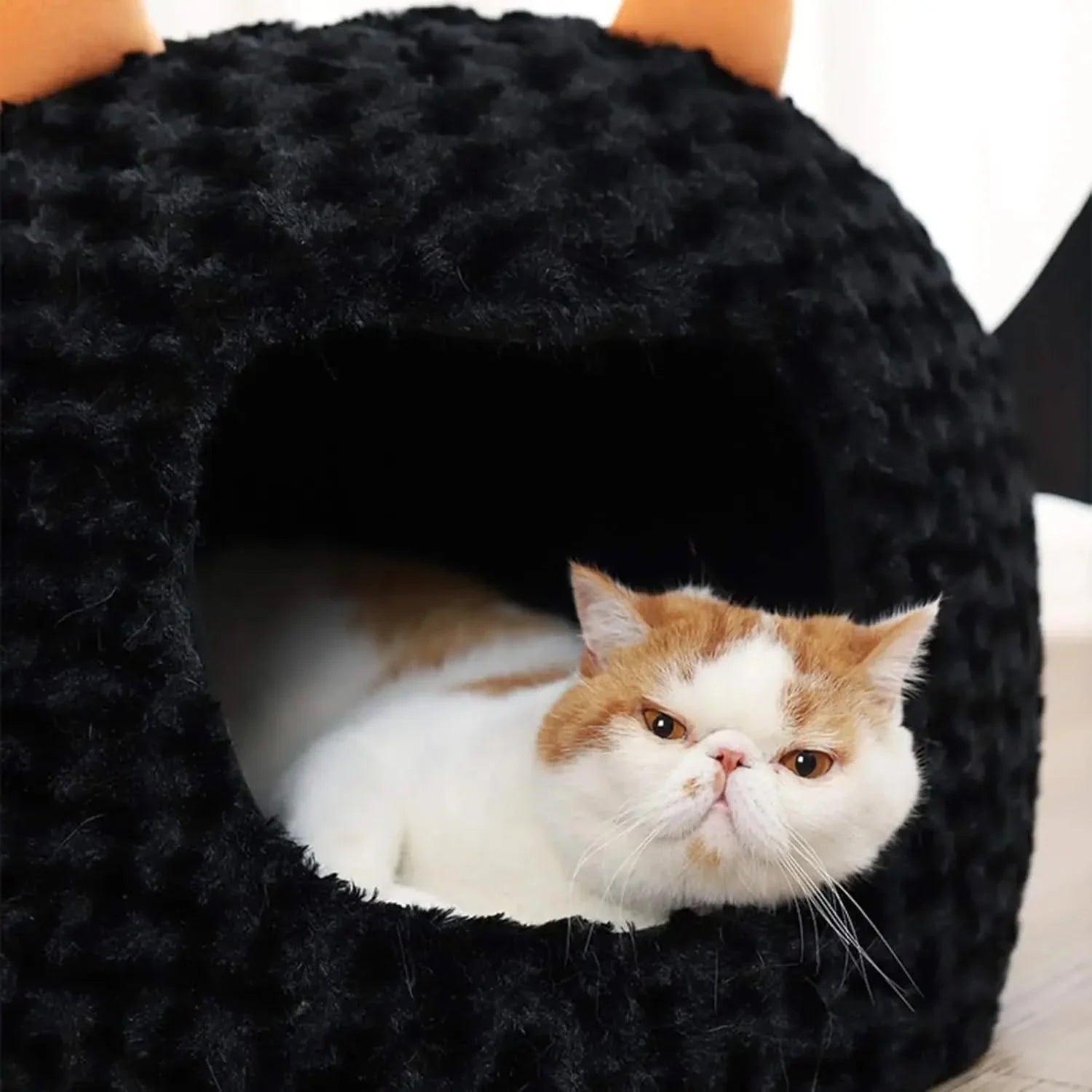 Funny Halloween Bat Cat Cave Bed: Warm, Ultra-Soft Plush, Removable Cushion